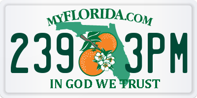 FL license plate 2393PM