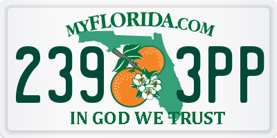 FL license plate 2393PP