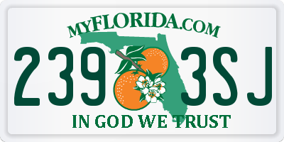 FL license plate 2393SJ
