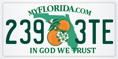 FL license plate 2393TE