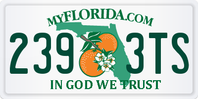 FL license plate 2393TS