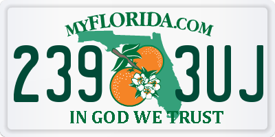 FL license plate 2393UJ