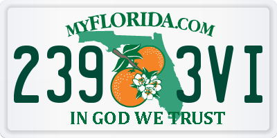 FL license plate 2393VI