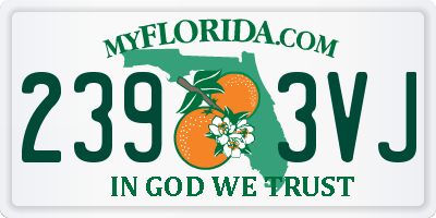 FL license plate 2393VJ