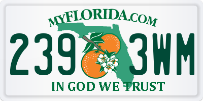 FL license plate 2393WM