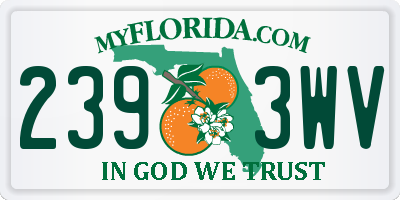FL license plate 2393WV