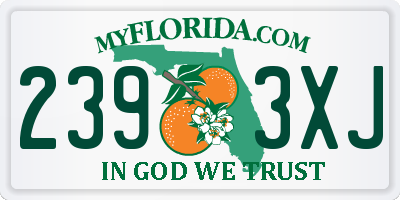 FL license plate 2393XJ