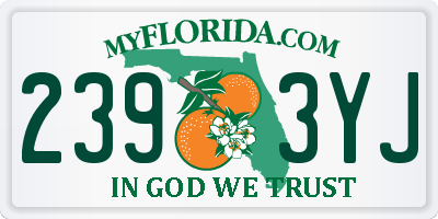 FL license plate 2393YJ