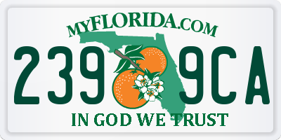 FL license plate 2399CA