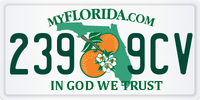 FL license plate 2399CV