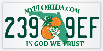 FL license plate 2399EF