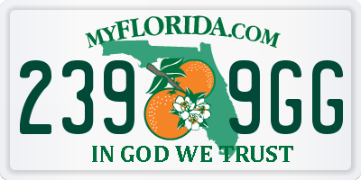 FL license plate 2399GG