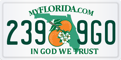 FL license plate 2399GO