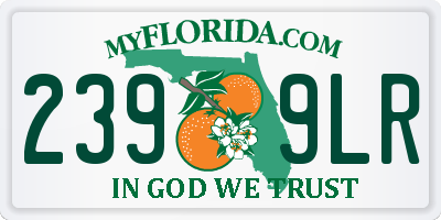 FL license plate 2399LR