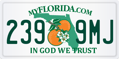 FL license plate 2399MJ
