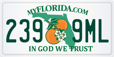 FL license plate 2399ML