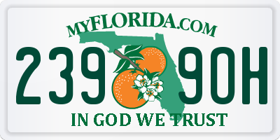 FL license plate 2399OH