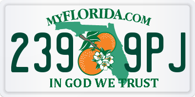 FL license plate 2399PJ