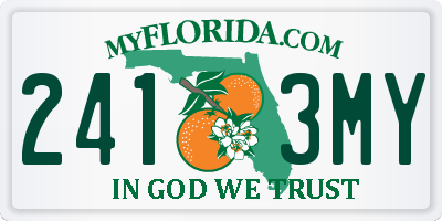 FL license plate 2413MY
