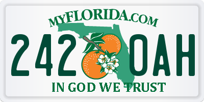 FL license plate 2420AH