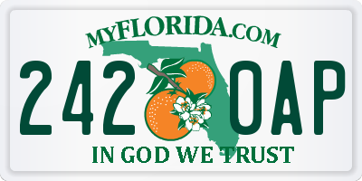FL license plate 2420AP