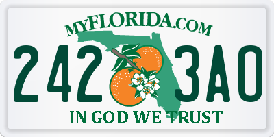 FL license plate 2423AO