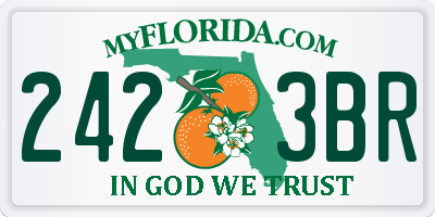 FL license plate 2423BR