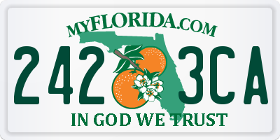 FL license plate 2423CA
