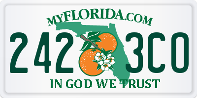FL license plate 2423CO