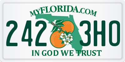 FL license plate 2423HO