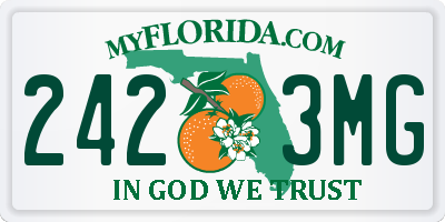 FL license plate 2423MG