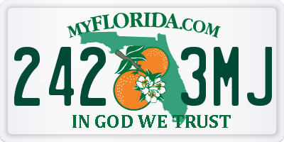 FL license plate 2423MJ