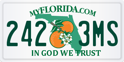 FL license plate 2423MS