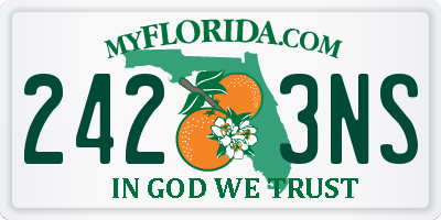 FL license plate 2423NS
