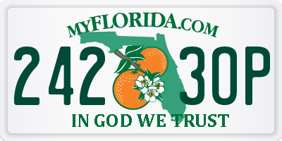 FL license plate 2423OP