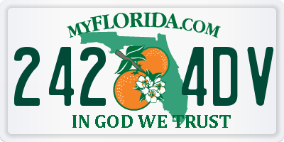 FL license plate 2424DV