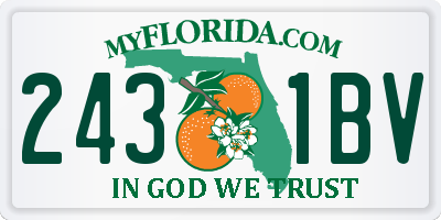 FL license plate 2431BV