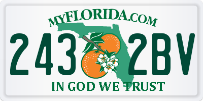 FL license plate 2432BV