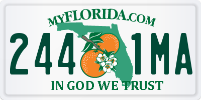 FL license plate 2441MA