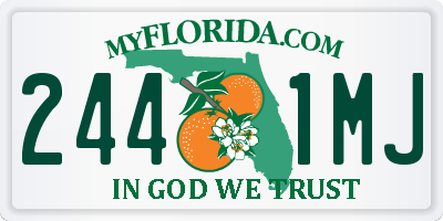 FL license plate 2441MJ
