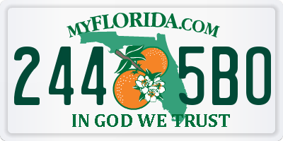 FL license plate 2445BO