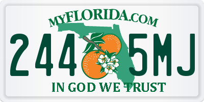 FL license plate 2445MJ