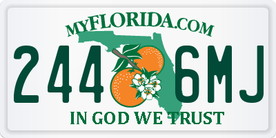 FL license plate 2446MJ