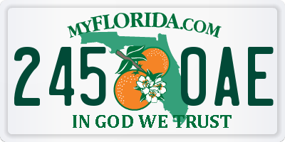 FL license plate 2450AE