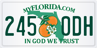 FL license plate 2450DH