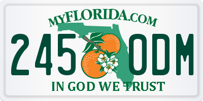 FL license plate 2450DM