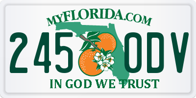 FL license plate 2450DV