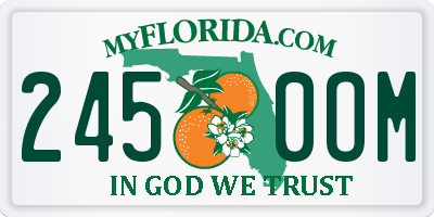 FL license plate 2450OM