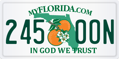 FL license plate 2450ON