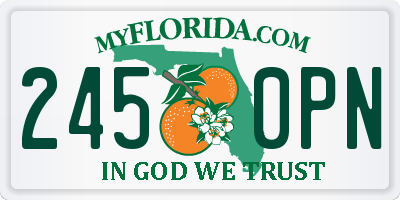 FL license plate 2450PN